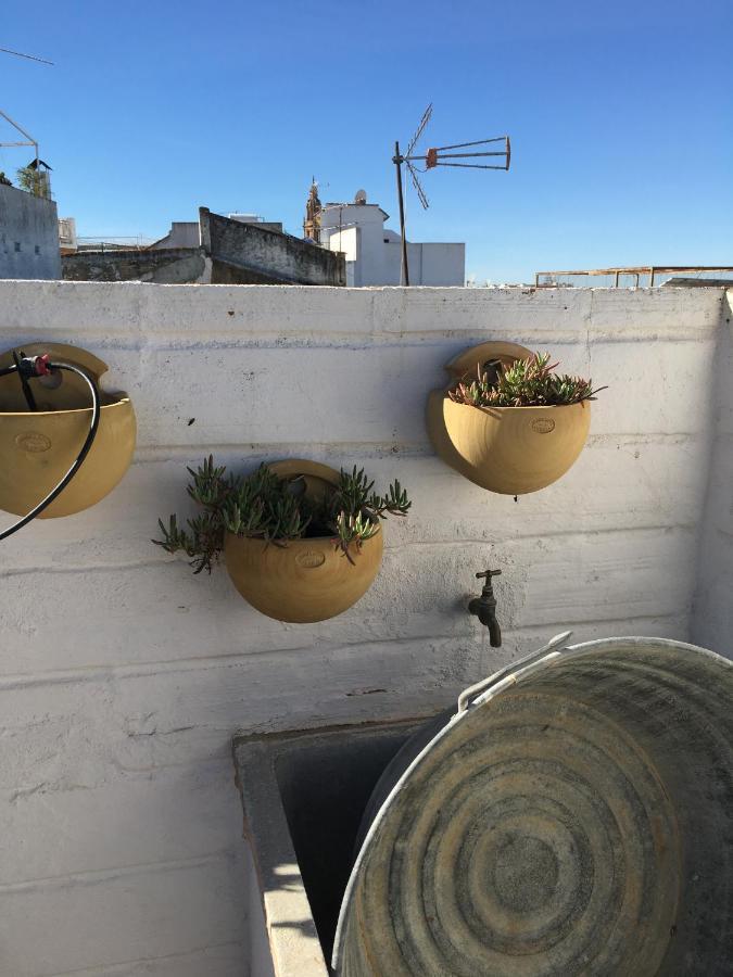 Вілла Casa Leon Blanco Carmona Reformada Centrica Con Chimenea Y Terraza Con Vistas Екстер'єр фото